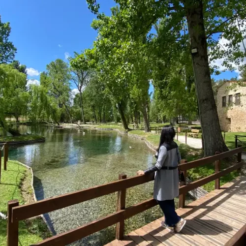 Le Fonti del Clitunno: il gioiello Naturalistico dell’Umbria