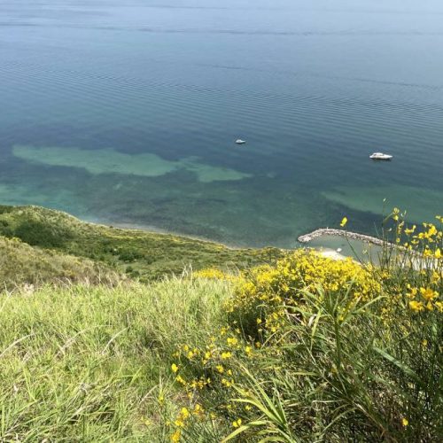 Il Tetto del Mondo: Un Meraviglioso Paradiso Nascosto nel Parco San Bartolo