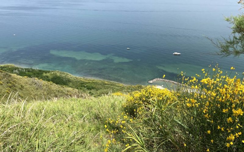 Il Tetto del Mondo: Un Meraviglioso Paradiso Nascosto nel Parco San Bartolo